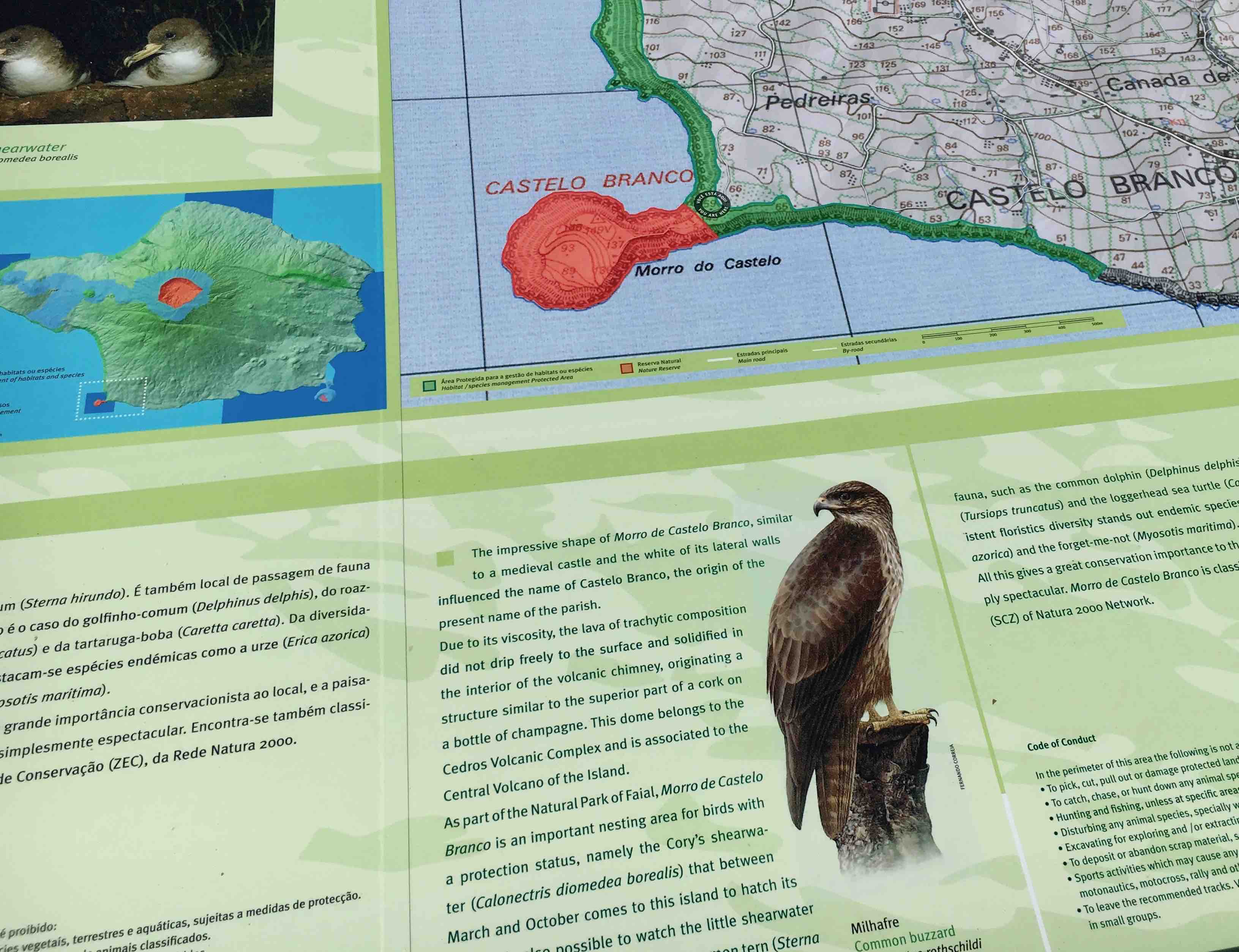 info sui sentieri per avvistamento uccelli Azzorre
