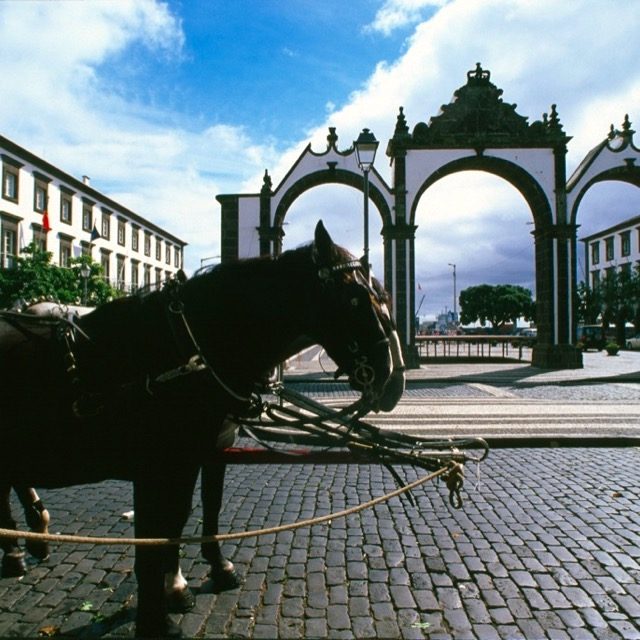 La Porta delle Azzorre, Ponta Delgada